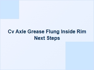 Grease in the Wheel Rim: Diagnosis and Next Steps