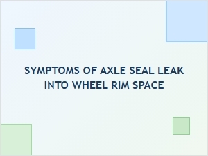 Diagnosing Axle Seal Leaks in Wheel Rim Space
